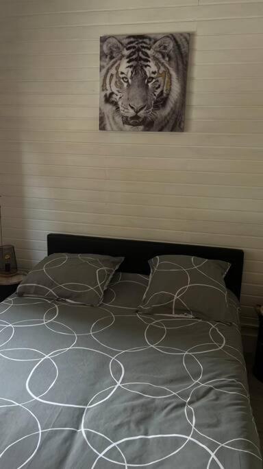 Magnifique Appartement T2 Le Barcarès Екстериор снимка